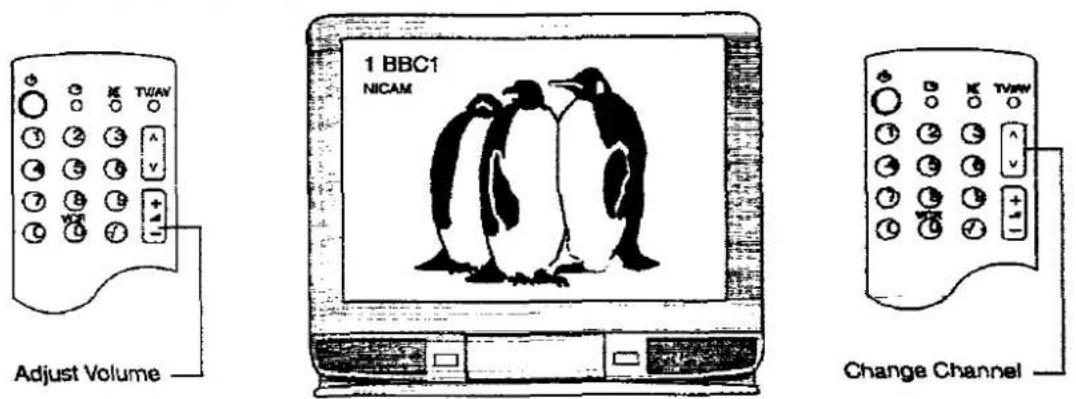 PANASONIC TX-25MD1C - USING A VCR AND SATELLITE RECEIVER - 4