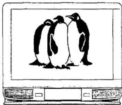 PANASONIC TX-25MD1C - Notes : - 9