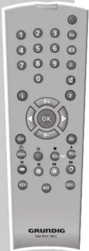GRUNDIG Arcance 55 Flat MF 55-2502 TOP - Aktuellen Programmplatz einblenden - 1