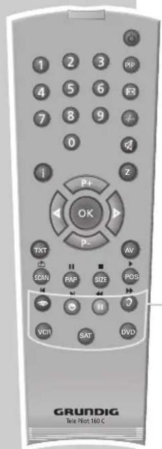 GRUNDIG Arcance 55 Flat MF 55-2502 TOP - AUF EINEN BLICK - 1