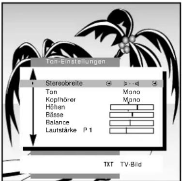 GRUNDIG M 84 211 8 IDTV - Persönliche Werte einstellen - 1