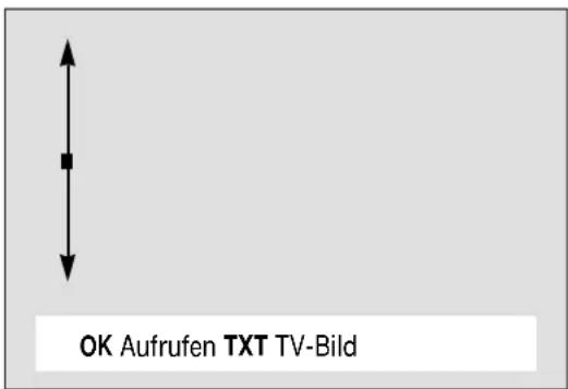 GRUNDIG M 84 211 8 IDTV - Die Kurzanleitung – der Wegweiser für den Dialog zwischen Ihnen und dem Gerät - 2
