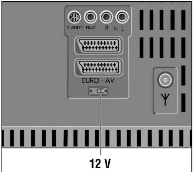 GRUNDIG M 82 169 PALPLUS - V Eingang - 1