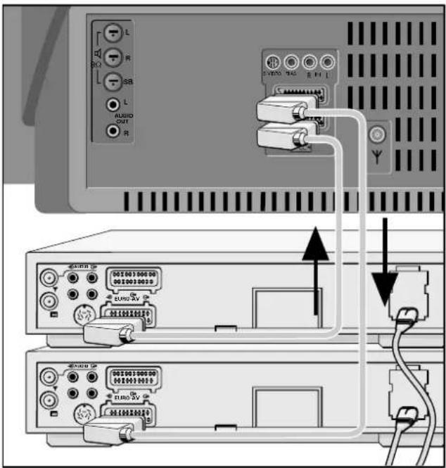GRUNDIG M 82 169 PALPLUS - Überspielen von Videoaufzeichnungen über das Fernsehgerät - 1