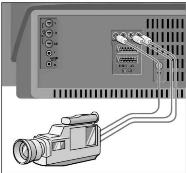 GRUNDIG M 82 169 PALPLUS - Bildsignal - 1