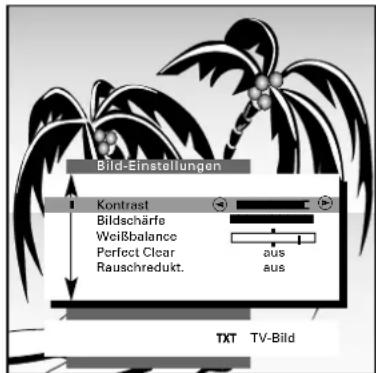 GRUNDIG Elegance m72 270 idtv log - Bild-Einstellungen - 2