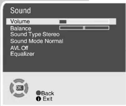 GRUNDIG Elegance 21 flat tvd 55 2502 - Audio settings - 1