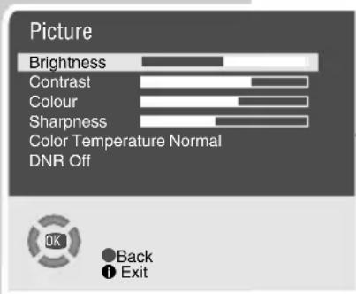 GRUNDIG Elegance 21 flat tvd 55 2502 - Picture settings - 1
