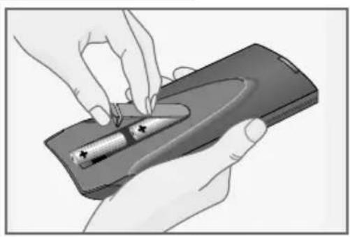 GRUNDIG Elegance 21 flat tvd 55 2502 - Inserting batteries in the remote control - 1