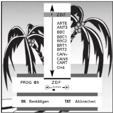 GRUNDIG Denver SE 8227-8 PIP - Sendernamen ändern oder neu eingeben - 1