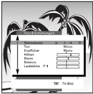 GRUNDIG Denver SE 8227-8 PIP - Persönliche Werte einstellen - 1