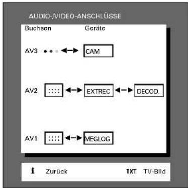 GRUNDIG Davio 55 m 55 290 8 idtv - Die AUDIO/VIDEO-ANSCHLÜSSE - 2