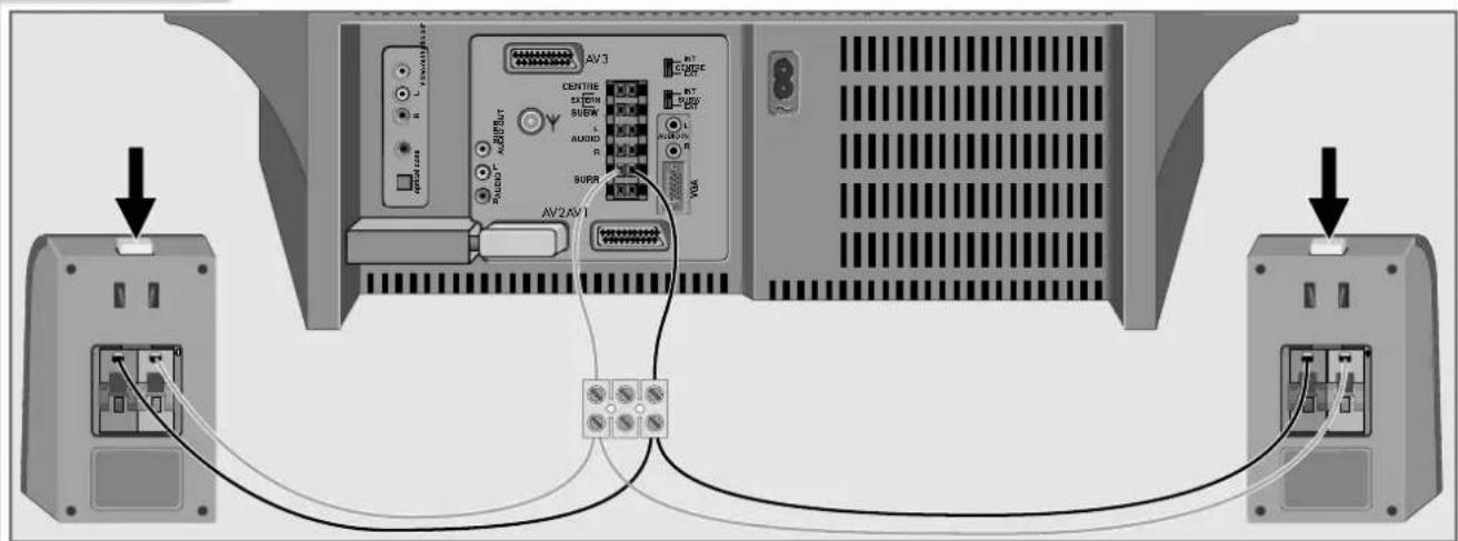 GRUNDIG Arganto 82 Flat MFW 82-530-9 DPL - Lautsprecherboxen oder Verstärker anschließen - 1