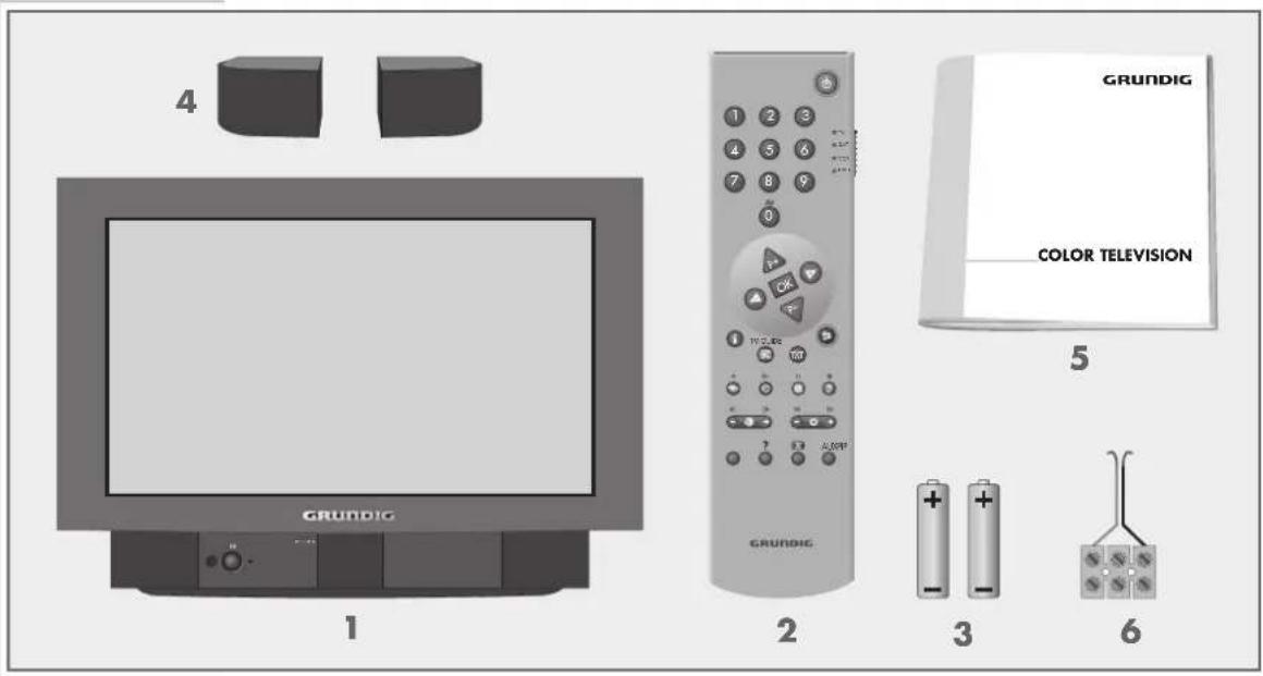 GRUNDIG Arganto 70 Flat MFW 70-530-9 DPL - Lieferumfang - 1