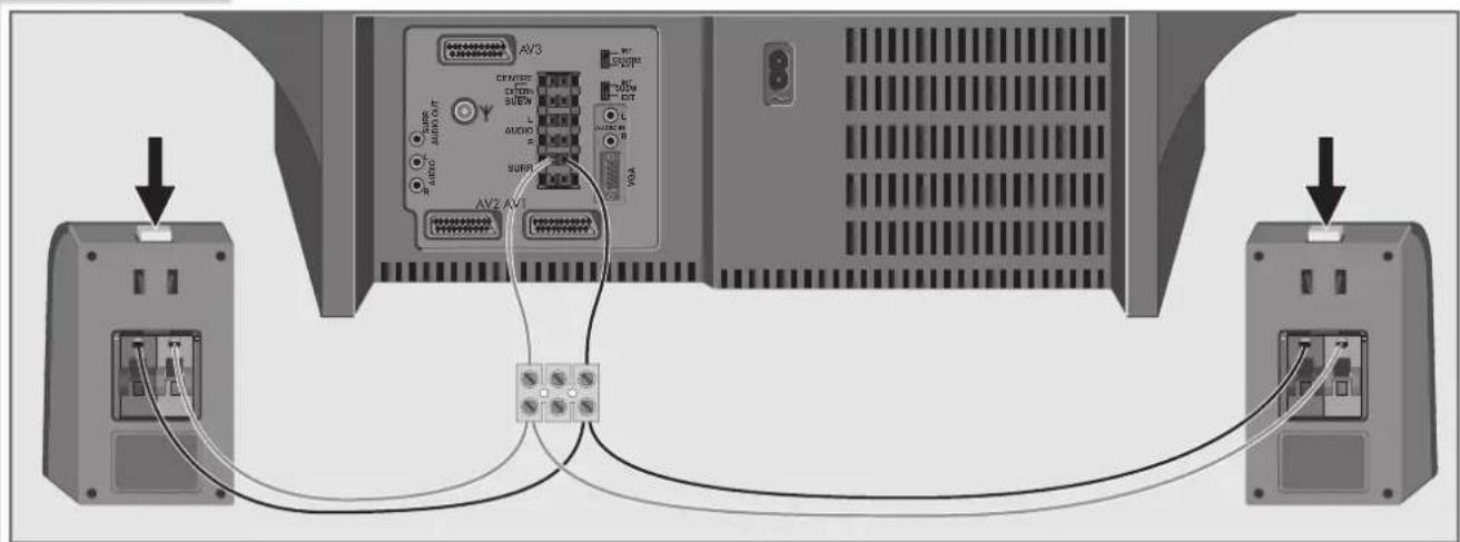 GRUNDIG Arganto 70 Flat MFW 70-530-9 DPL - Lautsprecherboxen oder Verstärker anschließen - 1