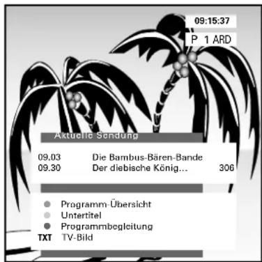 GRUNDIG ST 70 255 IDTV LOG - ☐ Fernsehsendungen: "Zur Zeit im Programm" - 1