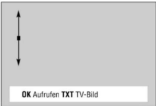 GRUNDIG Berlin SE70-100 - Die Kurzanleitung – der Wegweiser für den Dialog zwischen Ihnen und dem Gerät - 2