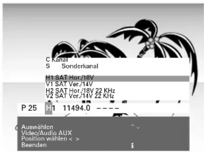 GRUNDIG P 40 740 TOP - Programmplätze manuell belegen bei SAT-Empfang - 1