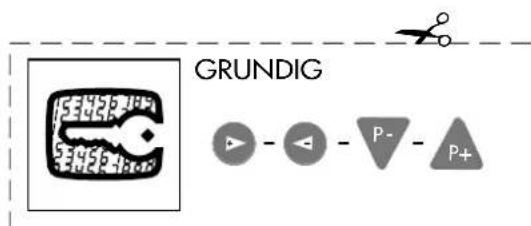 GRUNDIG P 40 740 TOP - Stift Signal - 2