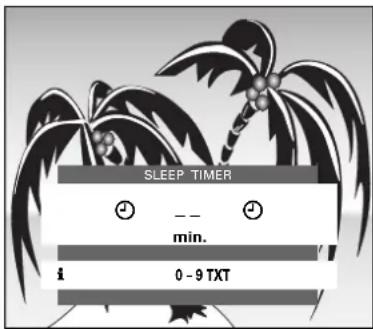 GRUNDIG P 37 830 TEXT - Sleep Timer einstellen - 1