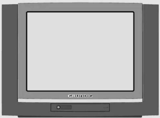 GRUNDIG Xentia 55 M F55 5101 NIC DOLB - LIEFERUMFANG - 1