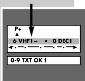 GRUNDIG T51-731 - Einstellung für den Betrieb mit Decoder - 1