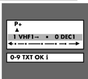 GRUNDIG T51-731 - Fernseh-Programme aus der Programmtabelle löschen - 1