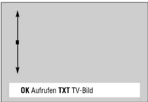 GRUNDIG SYDNEY 100 SE 7021 IDTV-PIP - Die Kurzanleitung – der Wegweiser für den Dialog zwischen Ihnen und dem Gerät - 2