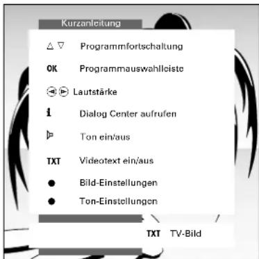 GRUNDIG ST 72 261 IDTV LOG - Gerätestandort (Land) einstellen - 3