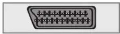 GRUNDIG Vision 2 22-2940 T DVD - ... mit analogem Video-Signal (Progressiv) - 2
