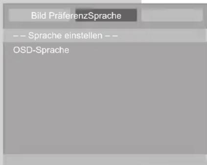 GRUNDIG Vision 2 22-2940 T DVD - Sprache der Bildschirmmenüs wählen - 1