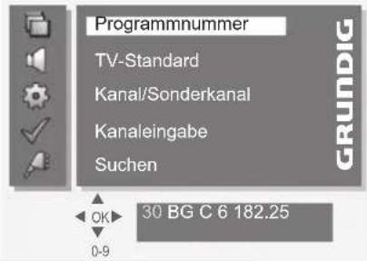 GRUNDIG Vision 4 37 5960 - SONDEREINSTELLUNGEN. - 3