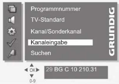 GRUNDIG Vision 4 37 5960 - SONDEREINSTELLUNGEN. - 4