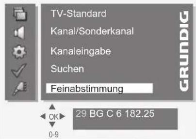 GRUNDIG Vision 4 37 5960 - SONDEREINSTELLUNGEN. - 2