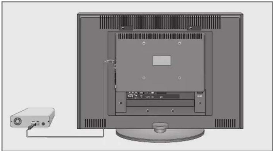 GRUNDIG Vision 6 42 6950 T - Externe Datenträger anschließen - 1