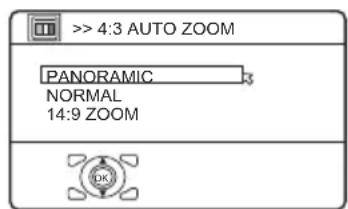 JVC HV-28P40 - Wählen Sie 4:3 AUTO ZOOM und drücken Sie dann die Taste OK - 1