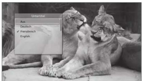 JVC LT-26DB1BU - Untertitel (nur für Digitalkanäle) - 2