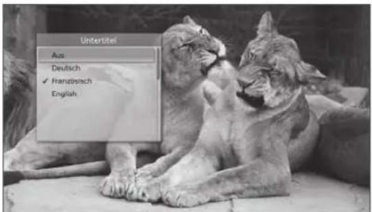 JVC LT-19DB1 - Untertitel (nur für Digitalkanäle) - 2