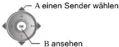 JVC LT-42DV8BG - ■ Bei 12 Fenstern einen Analogsender wählen - 2