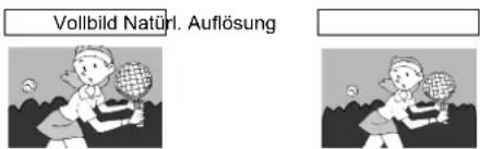 JVC LT-42DS9BU - Was ist „Natürl. Auflösung“? - 1