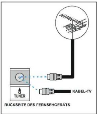 JVC LT-30E45S - Anschlussmöglichkeiten an der RF-Eingangsbuchse - 1