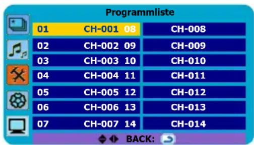 JVC LT-19DK8ZG - Programmliste - 1