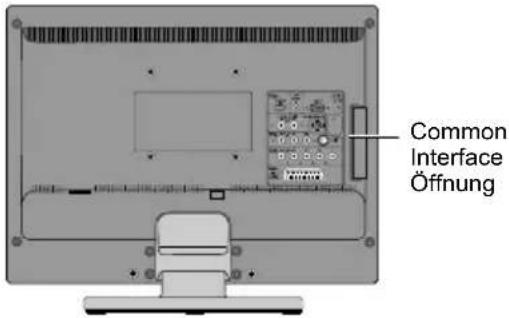 JVC LT-19DK8ZG - ■ Common Interface - 1
