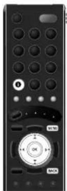 JVC LT-46DS9 - Einrichten des Fernsehgerätes - 1