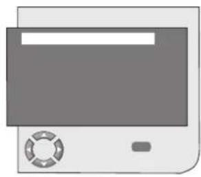 SEG Florida - SEG - 137