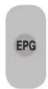 SEG Florida - SEG - 142
