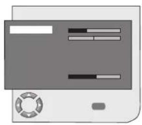SEG Florida - SEG - 49