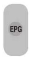 SEG Florida - SEG - 99