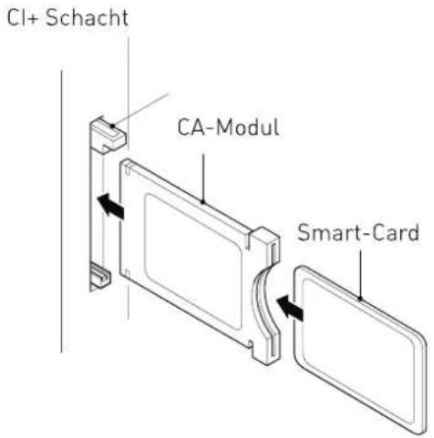 SEG San Francisco-B - Common-Interface - 1