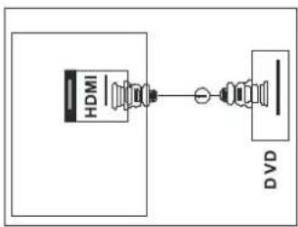 SEG Orlando - Anschluss über HDMI-Kabel - 1